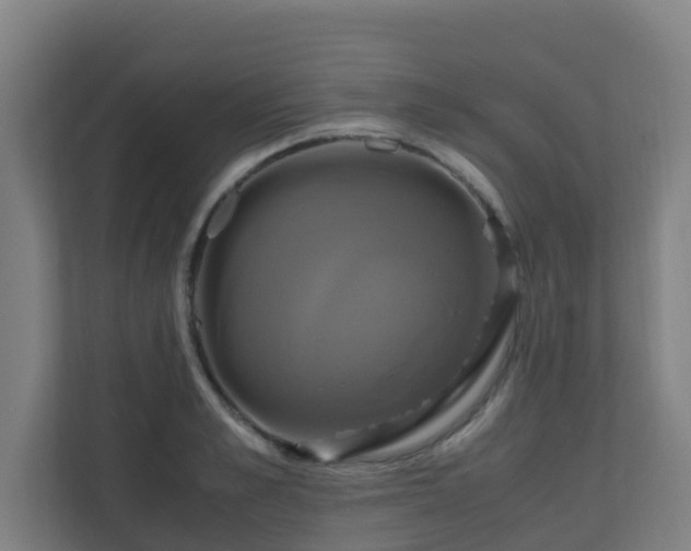 X0000110990989200906261446