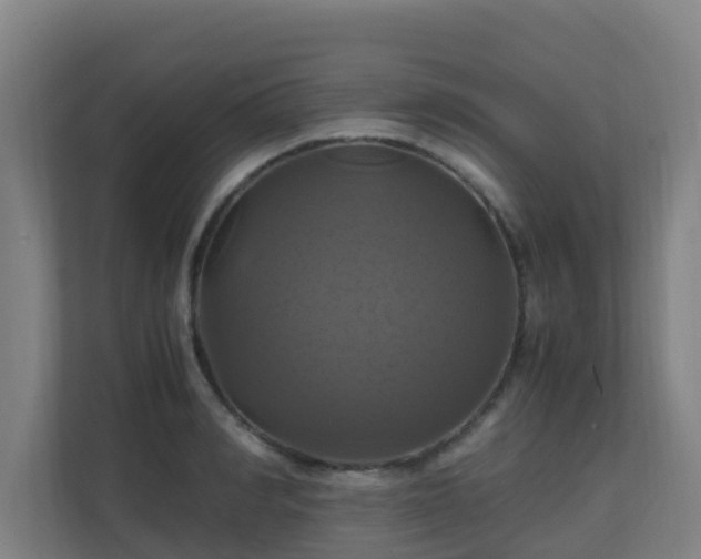 X0000110990990200906261446