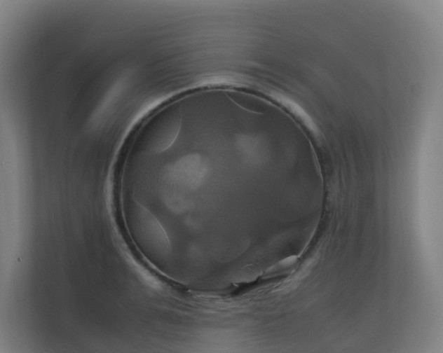 X0000110990991200906261446