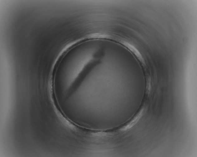 X0000110990992200906261446