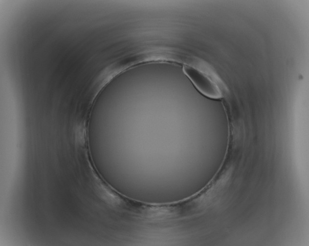 X0000110990993200906261446