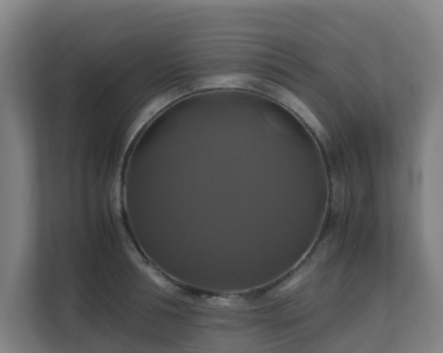 X0000110990994200906261446