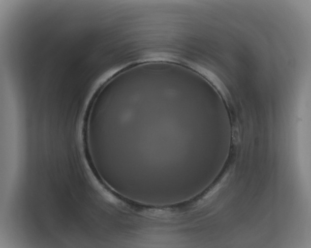 X0000110990995200906261446