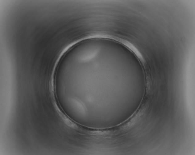X0000110990996200906261446