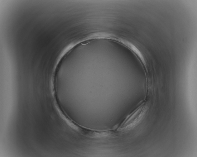 X0000110990997200906261446