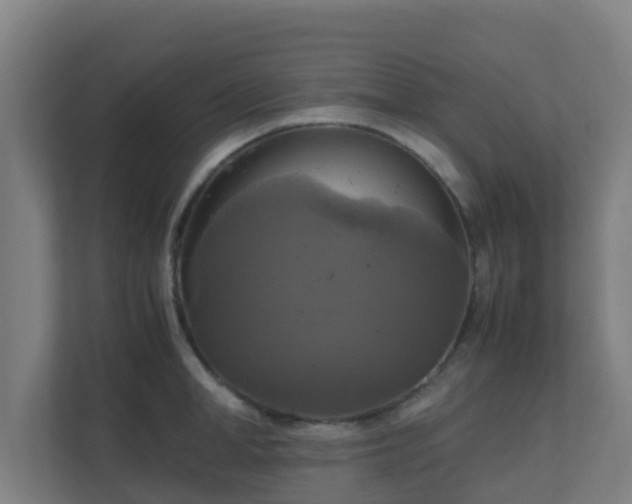 X0000110990998200906261446