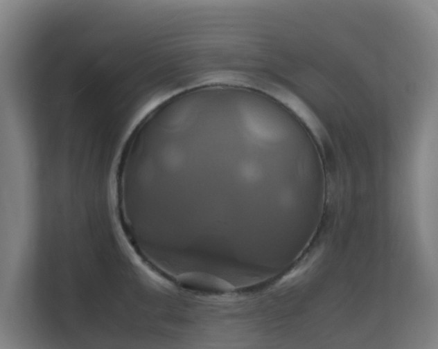 X0000110990999200906261446