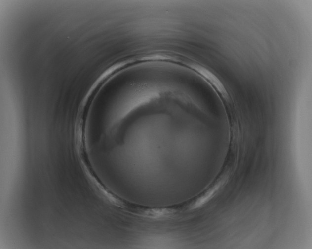 X0000110991000200906261446