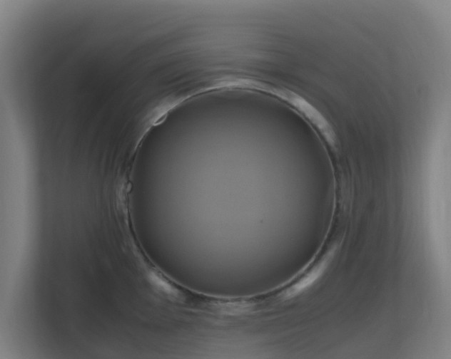 X0000110991001200906261446