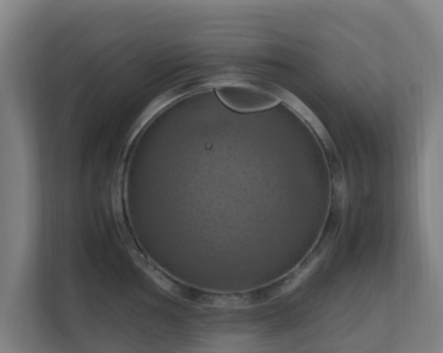 X0000110991002200906261446