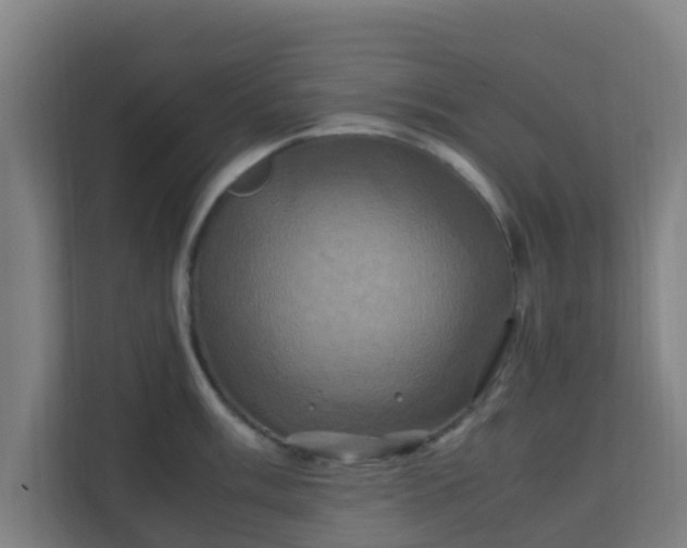 X0000110991003200906261446