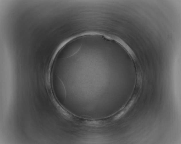 X0000110991004200906261446
