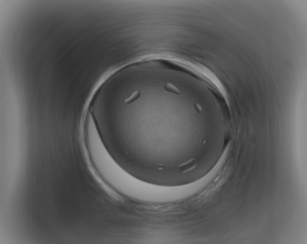 X0000110991005200906261446
