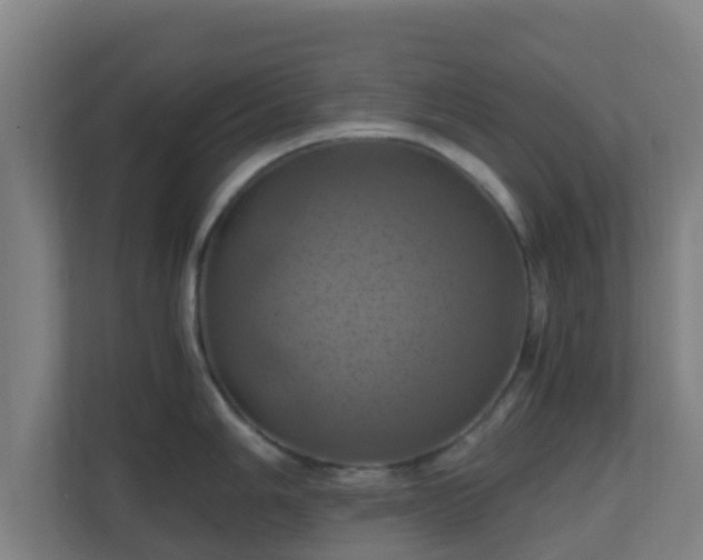 X0000110991006200906261446