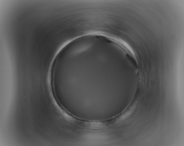 X0000110991007200906261446
