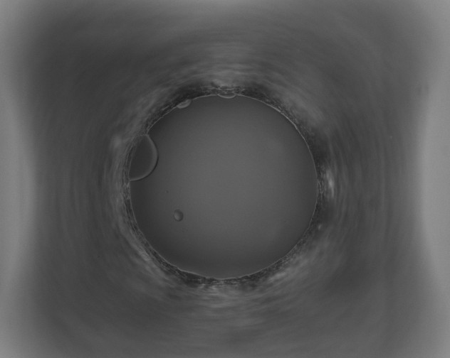 X0000110991009200906261445