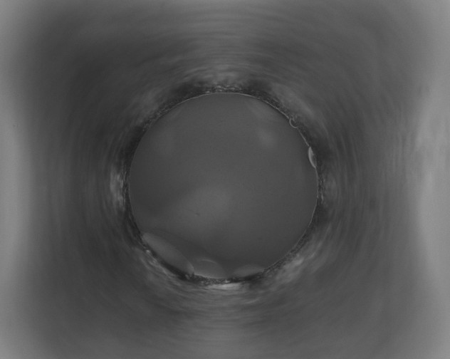 X0000110991010200906261445