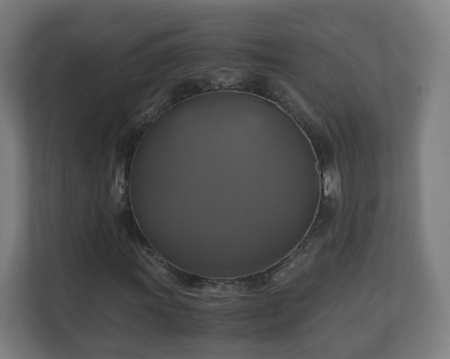 X0000110991011200906261445