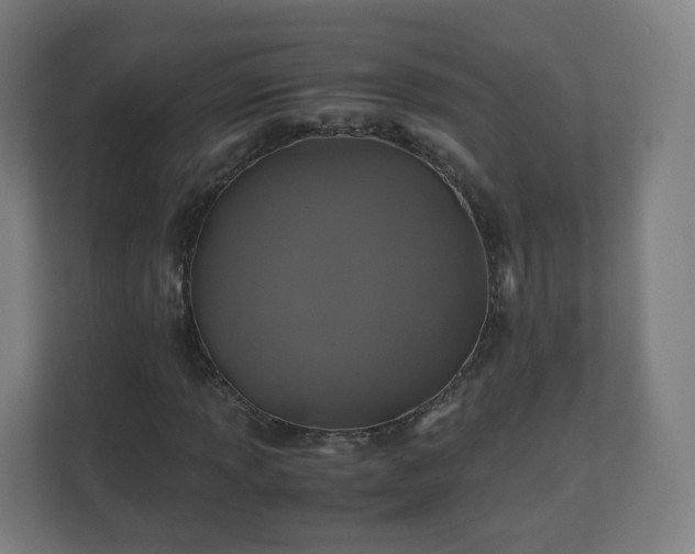 X0000110991013200906261445