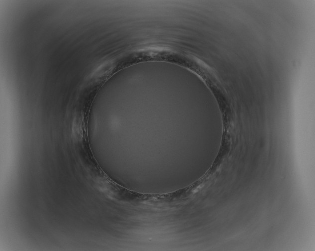 X0000110991014200906261445