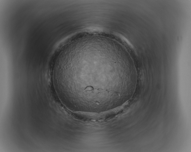 X0000110991016200906261445