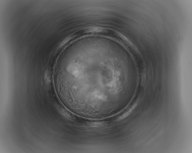 X0000110991017200906261445