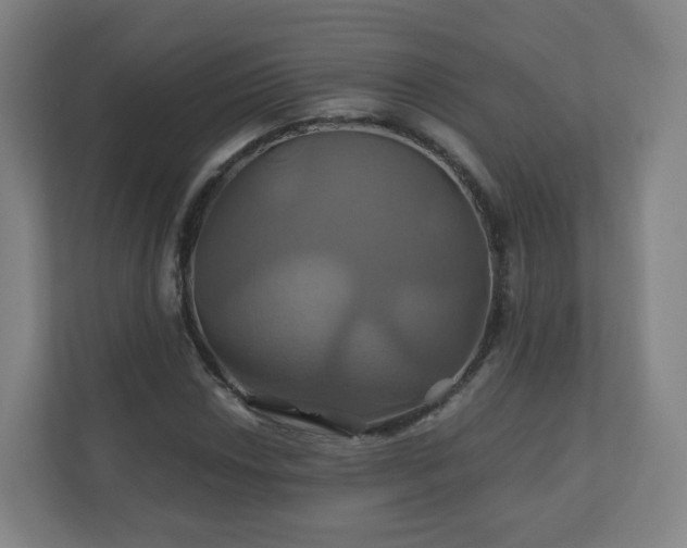 X0000110991018200906261445