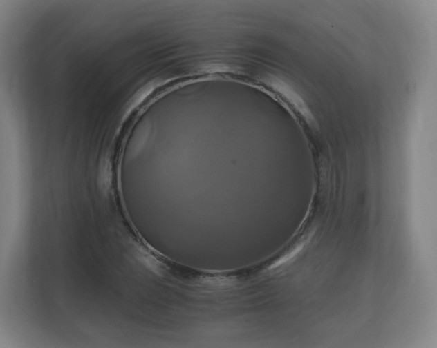 X0000110991023200906261445
