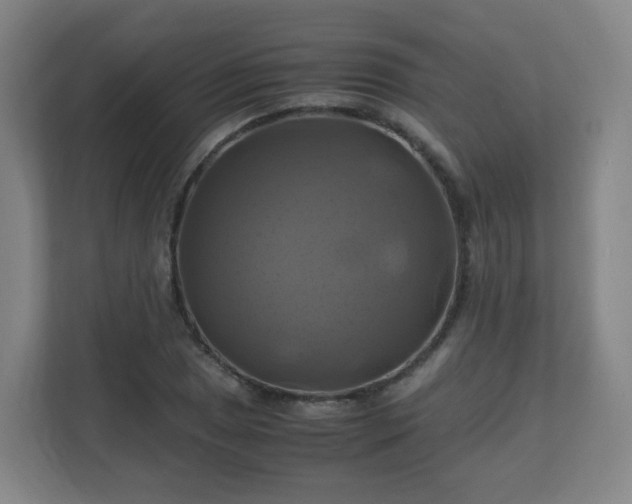 X0000110991025200906261445
