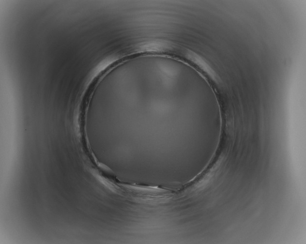X0000110991026200906261445