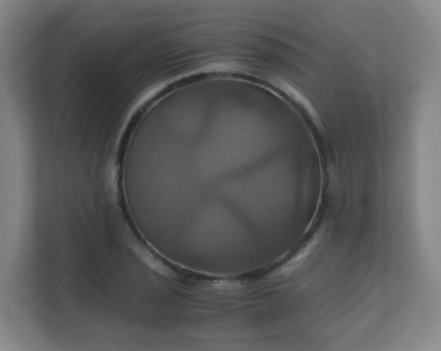 X0000110991029200906261445