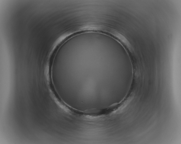 X0000110991030200906261445