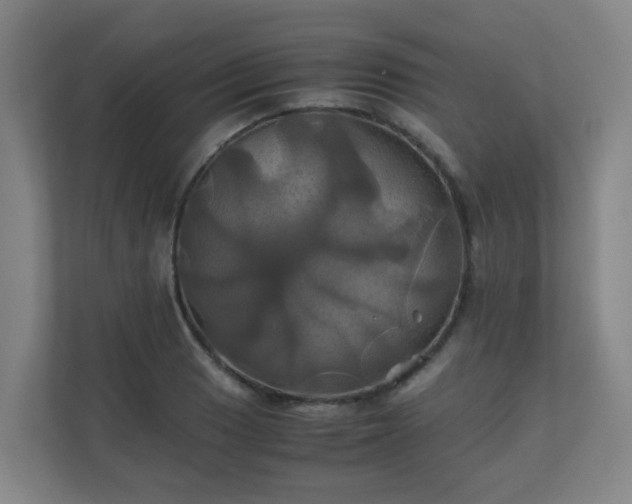 X0000110991033200906261445