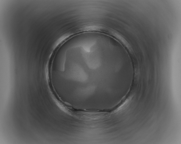 X0000110991034200906261445