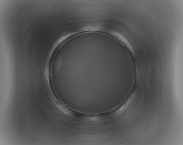 X0000110991035200906261445
