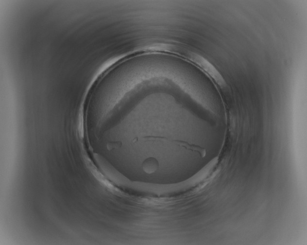 X0000110991036200906261445