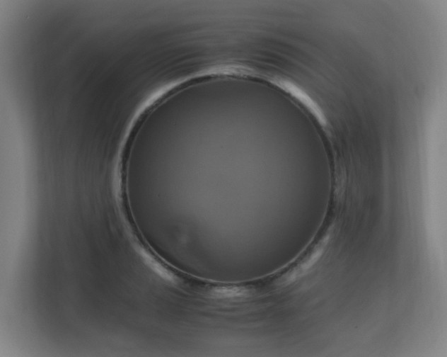 X0000110991037200906261445