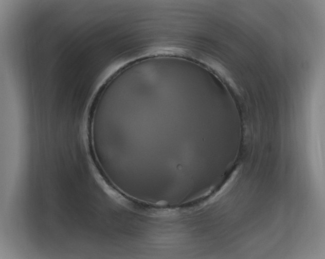 X0000110991038200906261445
