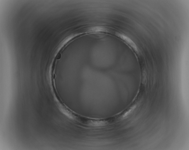 X0000110991039200906261445