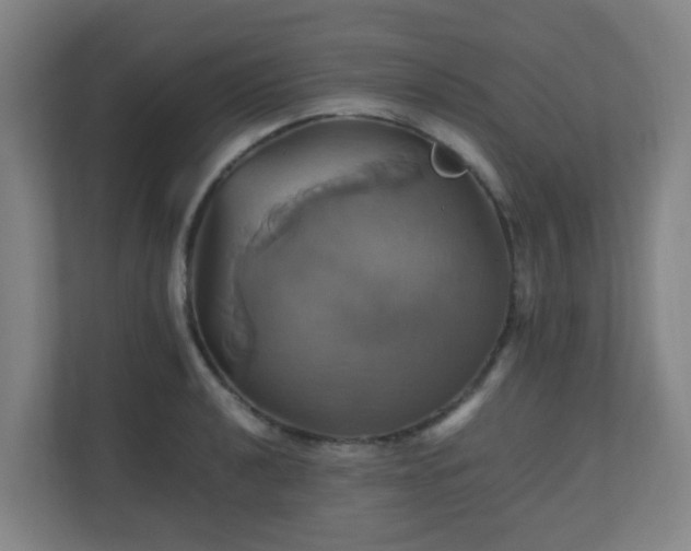 X0000110991040200906261445