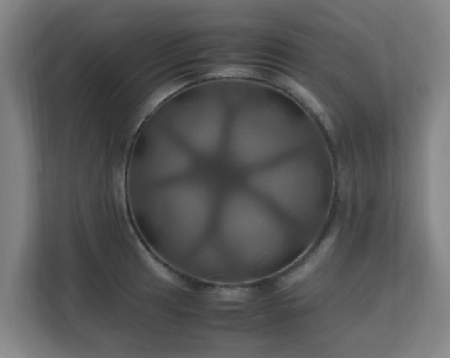 X0000110991041200906261445