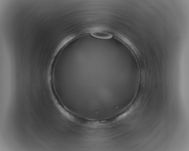 X0000110991042200906261445