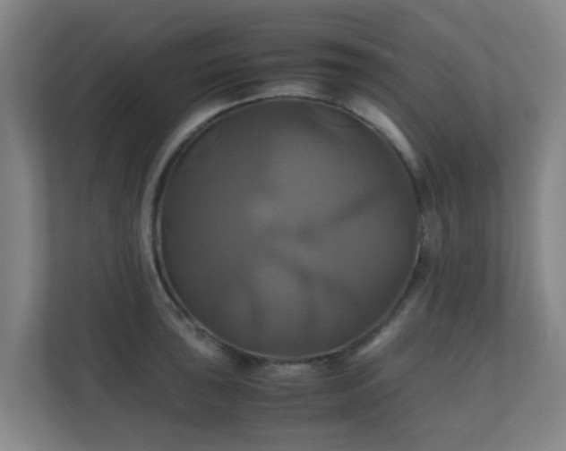 X0000110991043200906261445