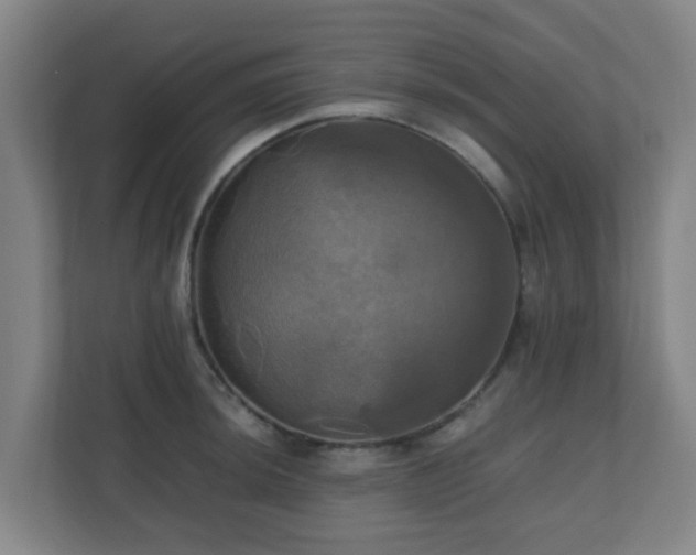 X0000110991044200906261445