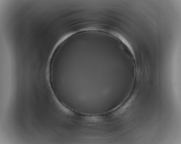 X0000110991045200906261445