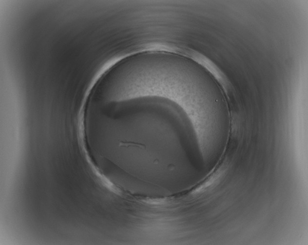 X0000110991048200906261445