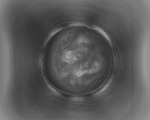 X0000110991049200906261446