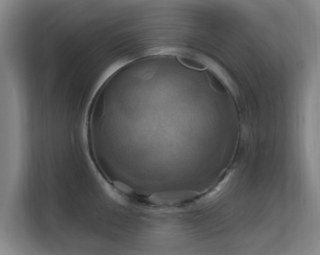 X0000110991050200906261446