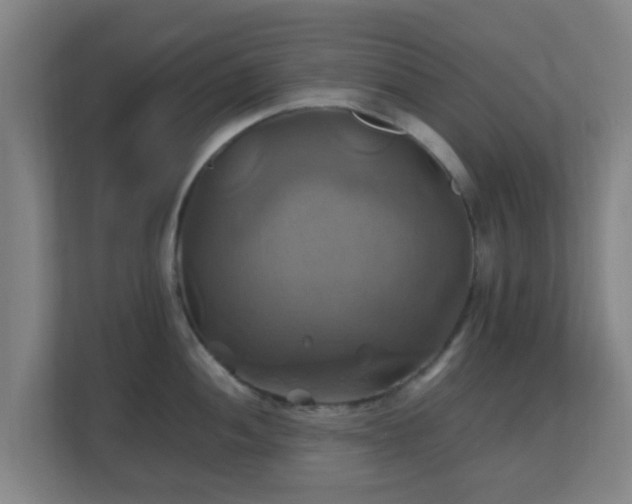 X0000110991052200906261446