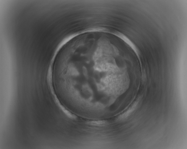X0000110991053200906261446